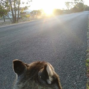 Meet your Posher, Chelsea